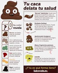 Pin En Datos Curiosos Infografias