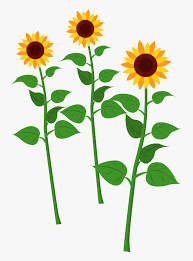 Free Free 342 Clipart Sunflower SVG PNG EPS DXF File