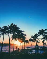 hawaiian love story turtle bay resort tropical honeymoon tropical honeymoon destinations