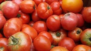 Enjoyed this easy recipe, she says. Winter Tomatoes Finegardening