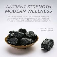 Image result for Shilajit