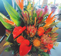 Intimate Kira Noir bird in a cage session