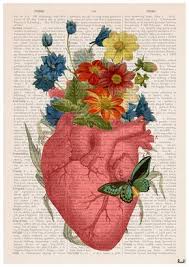 Human Anatomy Print Anatomy Art Wall Art Wall Decor Poster Anatomy Anatomy Poster Medical Art Ska088pa3 Anatomy Art Medical Art Human Anatomy Art