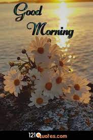 Pin On Morning Quotes Images