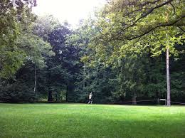 Slackline Im Barnstorfer Wald Rostock Rostock Wald