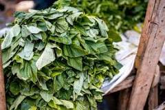 Image result
