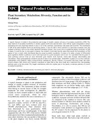 Image result for Dichilus reflexus