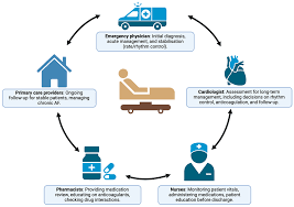 Bridging the Gaps in Atrial Fibrillation Management in the Emergency  Department