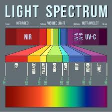 The Difference Between Light Therapy And Near Infrared Therapy Goodradiance Infrared Light Therapy Device