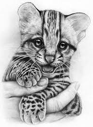 Pin By Yorsax Sax On Art Pencil Drawings Of Animals Animal Drawings Art Drawings