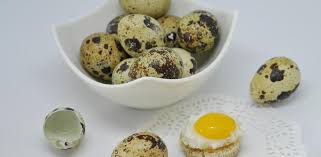 En unos minutos tendrás listos estos entrantes perfectos para tus comidas navideñas. Huevos De Codorniz Propiedades Beneficios Y Valor Nutricional