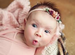 Pamela Fallon Photography and Design