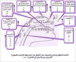 اللغة العربية المحاضرة الثالثة للدكتور محمود يوسف معاجم
