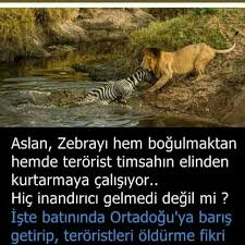 Rosaveu Adli Kullanicinin Sozŀɛŕin Efendisi Panosundaki Pin 2020 Zebra Timsah Aslan