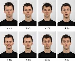Expressions of contempt and disgust activated a network of brain regions, including contemptuous faces did not elicit stronger amygdala activation than did disgusted expressions. Examples Of Expressions For The Rbd Dataset An Anger Co Contemptuous Download Scientific Diagram