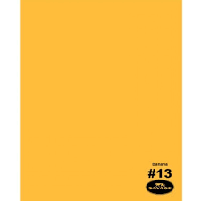 Savage Deep Yellow 1 35x 11m Background Paper Roll 9171