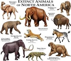 Fine Art Illustration Of Some Species Of Extinct Mammals Of North America Species Featured American Lion Extinct Animals Prehistoric Animals Ancient Animals