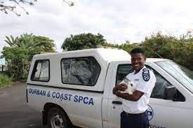 Is there a spca in durban south africa? Spca Durban Home Facebook