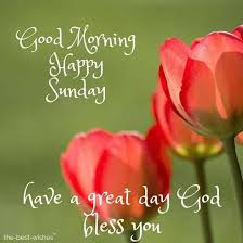Very nice pictures keep it up good morning sunday images. 120 Best Good Morning Sunday Images Wishes And Greetings