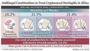 Image result for Cryptococcal Meningitis