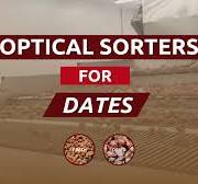 Sorting machines for dates by Raytec Vision discover all the ...