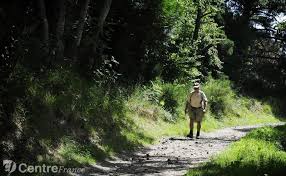 Résultat de recherche d'images pour "sentier dans forêt avec promeneurs"