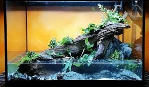 Pin By Plant Ideas On Aquarios Fish Tank Terrarium Nature Aquarium Planted Aquarium