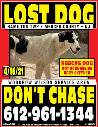 We are a small group of like minded folks with big hearts. Dog Rescued From Afghanistan Now Missing In Transport Through Local Area Tapinto