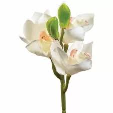 Maybe you would like to learn more about one of these? Real Touch Flowers Flowers