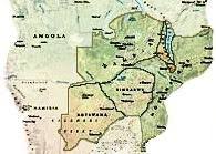 Image result for Diheteropogon microterus