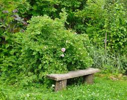 3 meter ein hoch ca. Wo Leben Zecken Die Gefarlichsten Zecken Hotspots In Ihrem Garten