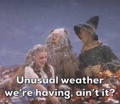 Wizard Of Oz Unusual Weather Gif Wizardofoz Unusualweather Dorothy Discover Share Gifs Weather Gif Wizard Of Oz Gif