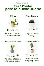 Te Gustan Las Plantas Pero No Eres Un Autentico Mano Verde Pasas Mas Tiempo Fuera De Casa Que Dentro Vi En 2020 Tiendas De Plantas Plantas Cultivo De Plantas