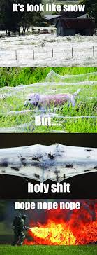 Spider Web Infested Farm Kill It With Fire Know Your Meme