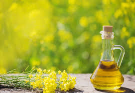 Les Bienfaits De L Huile De Colza Riche En Omega 3 Parinat