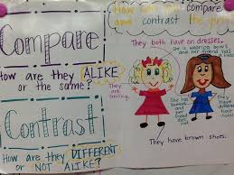 Compare And Contrast Abbys Kinderventures