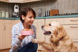 Facciamoci consigliare da un veterinario nutrizionista che potrà consigliarci su quali alimenti evitare e su quali, invece, puntare in base ad età, stato di salute e livello di attività fisica. Alimentazione Del Cane Dallo Svezzamento All Eta Adulta Donnad