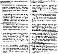 Also jedes chromosom kommt 2mal vor (einmal von der mutter und einmal vom vater). Samenzelle Eizelle Zygote Befruchtung 23 Chromosomen 23 Chromosomen Korperzellen Somazellen Doppelter Diploider Chromosomensatz Pdf Kostenfreier Download