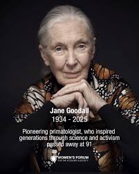 We're excited to introduce our series "Women in Sports" happening soon