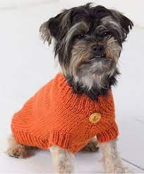Dog bag is knit flat and the designer littlewhitsknits says it is suitable for beginners. Life Is Ruff Knit Dog Sweater Allfreeknitting Com