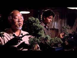 Can You Picture Your Bonsai Tree Closing Strong