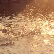 Feb 24, 2019 · create cool shapes in the shadows (flowers look amazing) the signature “blinds” look *shown below for yooo*. Emily Keegin And Caroline Tompkins Rocket Science