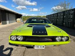 Image result for Frosty Green 1974 Challenger