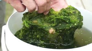 These blankets and throw blankets are available for king, queen, twin, and double beds. What Is Blanket Weed And How To Remove It Video Included Envii
