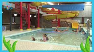 mojority van het moederbedrijf liever uw kinderen in swimbee zwemschool mee vanwege de beste onderwijs strategie https swimbee nl zwemmen oefeningen gezond