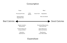 From www.verywellfit.com water at 100 degrees requires an additional 550 calories to convert 1 gram fully into steam. Crossfit Weighing The Evidence For Calorie Counting