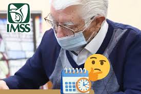 Instituto Mexicano Del Seguro Social