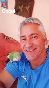 Vídeos de Robert Paul... (@robertpereira8035) con «sonido original