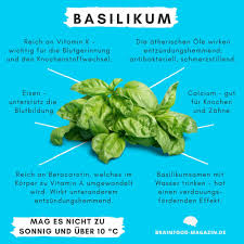 Basilikum Food Fakten In 2020 Gehirnnahrung Veganer Mozzarella Mediterrane Gerichte