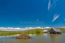 Maybe you would like to learn more about one of these? Beaver Dam Flodded A Cabin Stock Image Image Of Building 31253819